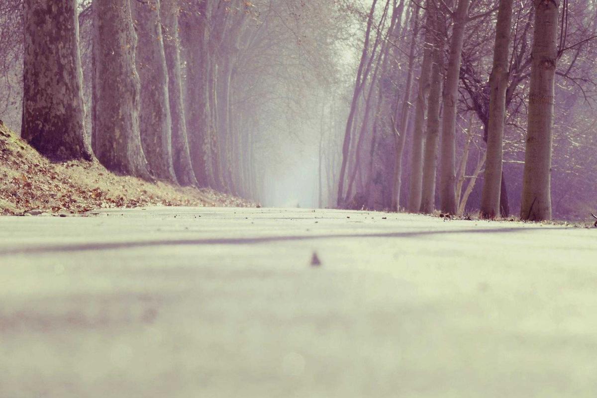 Winter Nutrition Guide: Essential Diet Tips for Cold Weather