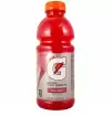 Gatorade Fruit Punch