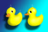 Duck 3.6ft Hanging Inflatable - Price To Hire