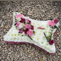 Pillows, Cushions And Butterflies