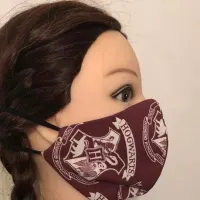 Hogwarts Mask