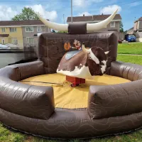 Rodeo Bull Hire Devon