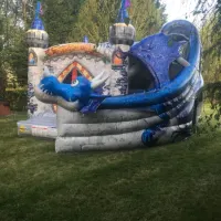 Dragon Castle With Slide