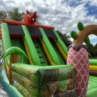 Mega Twin Lane Jungle Slide