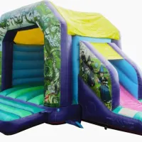 14ft X 16ft Fantasy Bounce And Slide