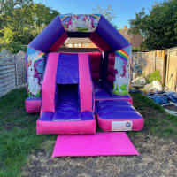 Velcro Pink  Purple Front Slide