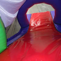 Indoor Double Dinosaur 3d Package