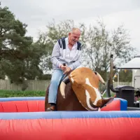 Rodeo Bull