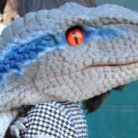 Toddler Dino Party Package