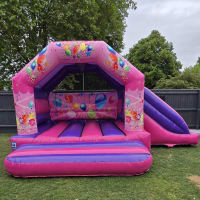 Pink And Purple Slide 2