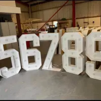 4ft Led Numbers