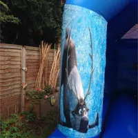 11x15ft Frozen Bouncy Castle