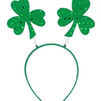 Paddys Day Party Package