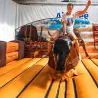 Ultimate Rodeo Bull Hire