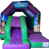 Green And Purple Combi 16ft X 12ft