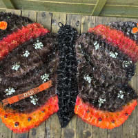 Pillows, Cushions And Butterflies