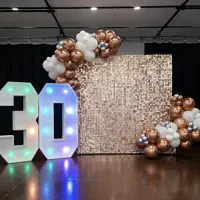Balloon Displays