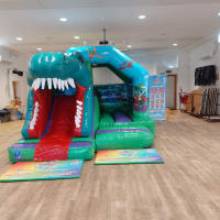 3d Dino Ball Pit Package