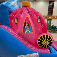 Princess Theme 3d Carriage Castleslide