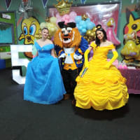 Cinderella Mascot 2