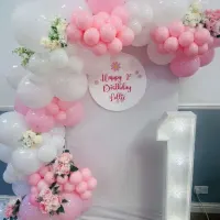 Themed Party Decor Back Drops