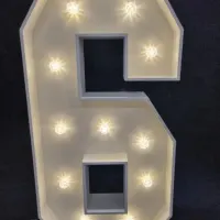 Number Lights 4ft 0-9 Available