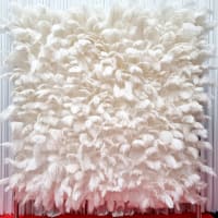 White Feather Wall