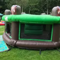 Human Whack-a- Mole