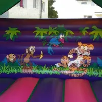 18ft X 18ft Adult Jungle Bouncy Castle Hire