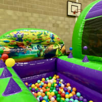 The Ultimate Dinosaur Package