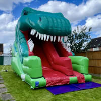 3d Dinosaur Mega Slide 10ft Platform