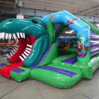 3d Dinosaur Party Package Indoor Premium