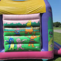 15ft X 13ft Cartoon Bouncy Castle