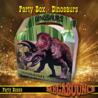 Party Boxes Dinosaur