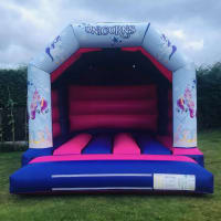Inflatable High Slide  Any Kids Bouncy Castle
