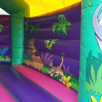 18ft X 18ft Adult Jungle Bouncy Castle Hire