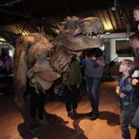 Event Dinosaur Workshops