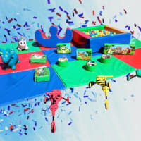Woodland Animals Soft Play Package