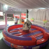 15ft X 15ft Rodeo Bull