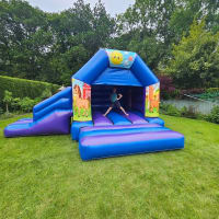 Horses Blue And Purple Disco Side Slide Combi Bouncy Castle