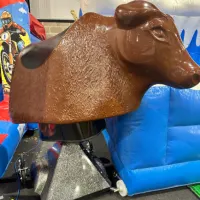 Rodeo Bull Rides
