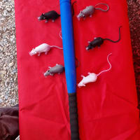 Splat The Rat Side Stall