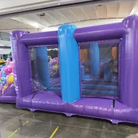 Double Slide Activity Bouncer