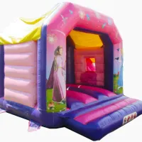 14ft X 16ft Princess Bounce And Slide