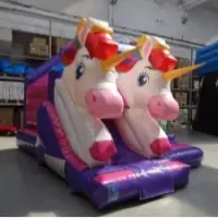 3d Unicorn Front Slide Combi