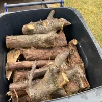 Log Removal