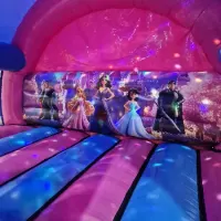 3d Front Slide Carriage Disco Princess
