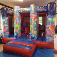 Party Time Ball Pond