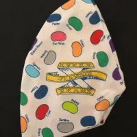 Bertie Botts Beans Mask