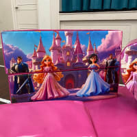 Princess Soft Play With Ball Pond